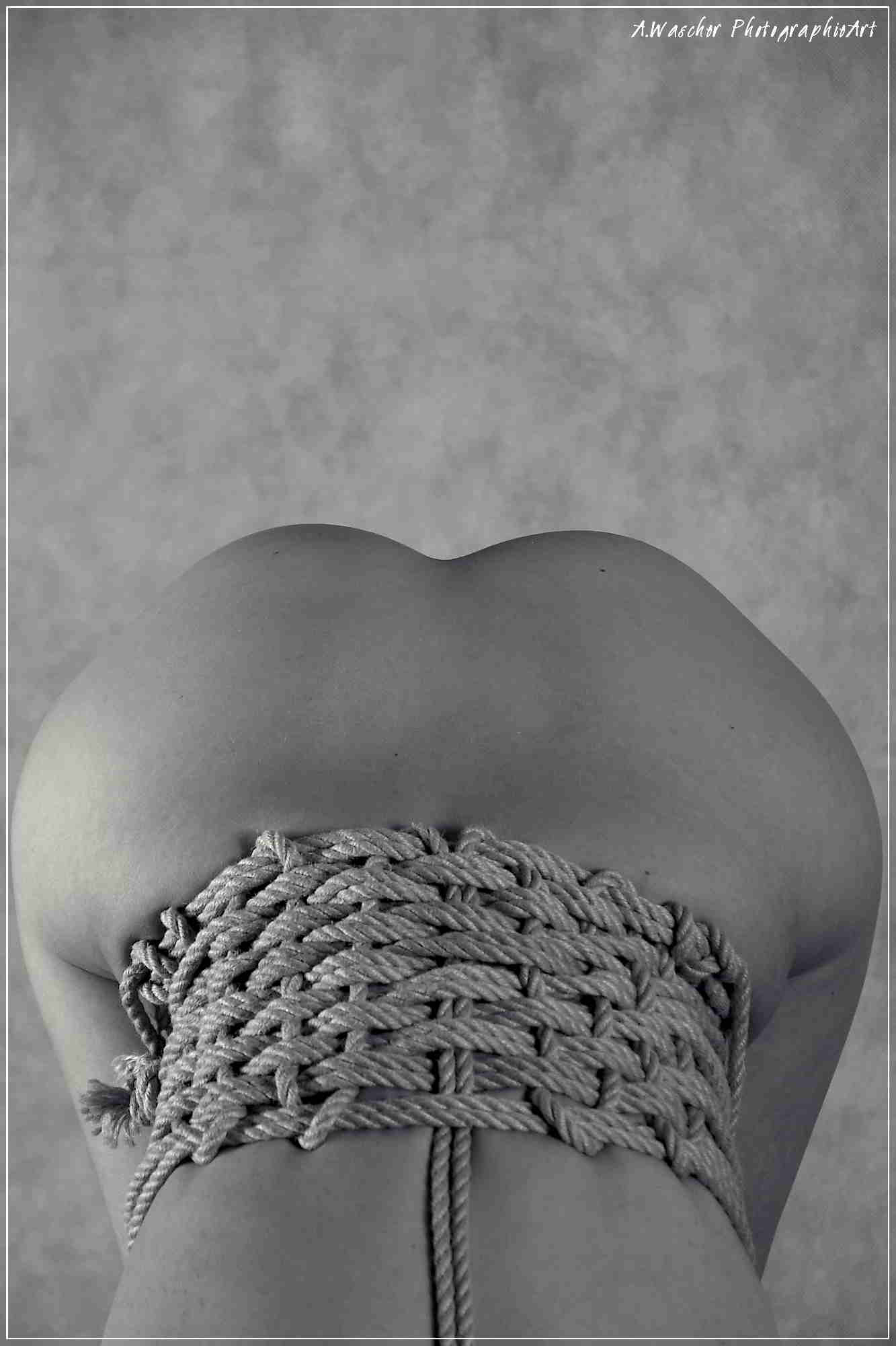 shibari workshop tentadora
